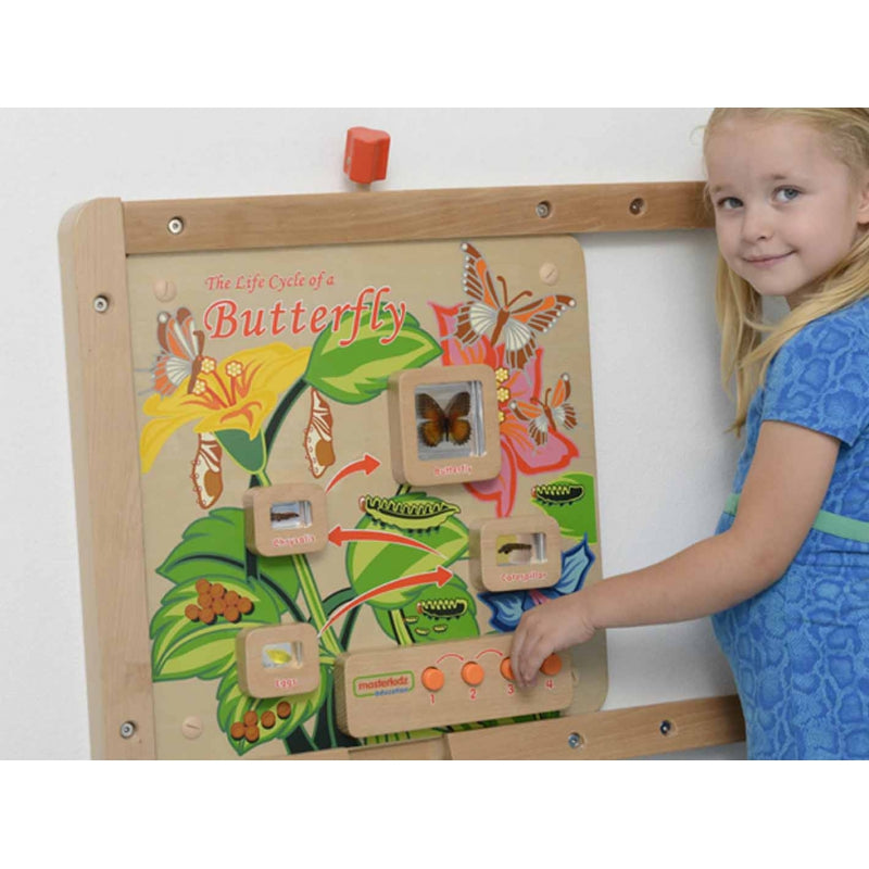 MASTERKIDZ Tablica Edukacyjna Ścienna Cykl Życia Motylka - zabawki-dla-dziewczynki
